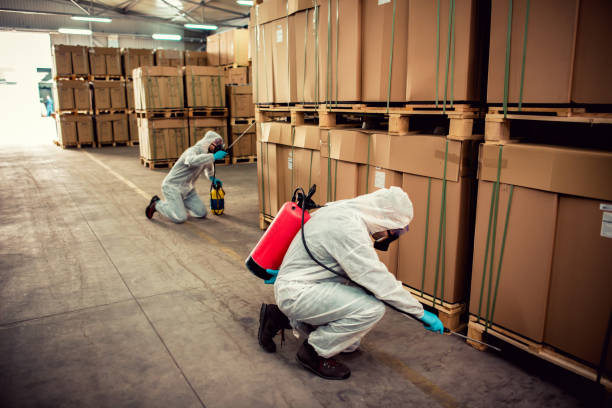 Best Pest Removal Services  in West Ack, NY