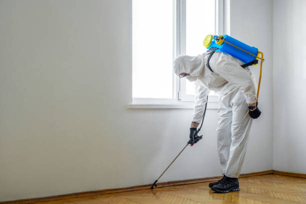 Wasp Removal Services in West Nyack, NY