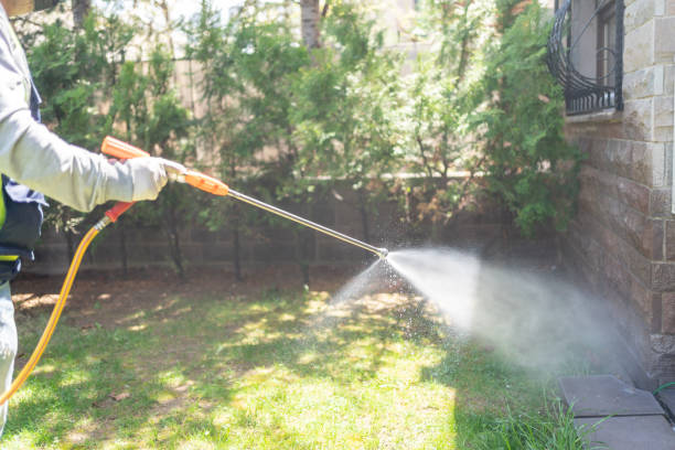 Best Mosquito Control Services  in West Ack, NY